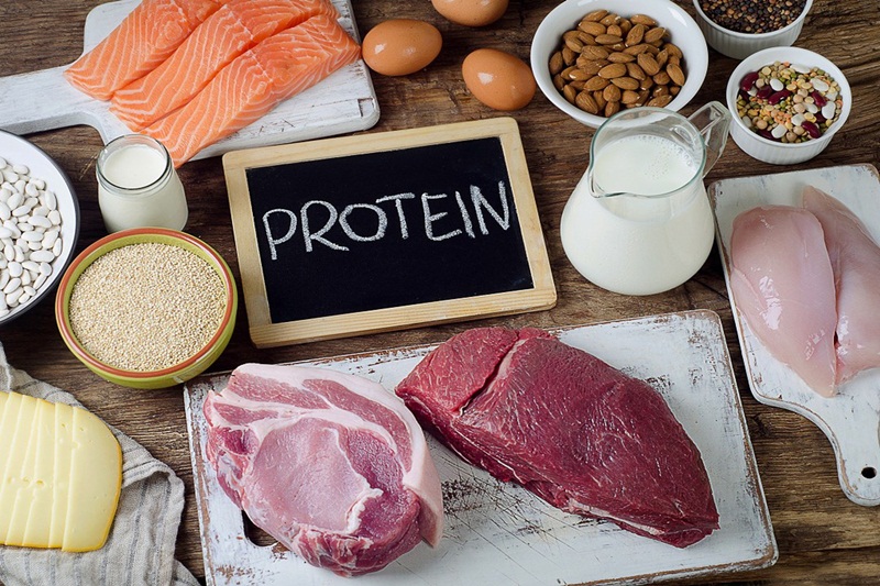 Protein quan trọng như thế nào đối với cơ thể chúng ta? 